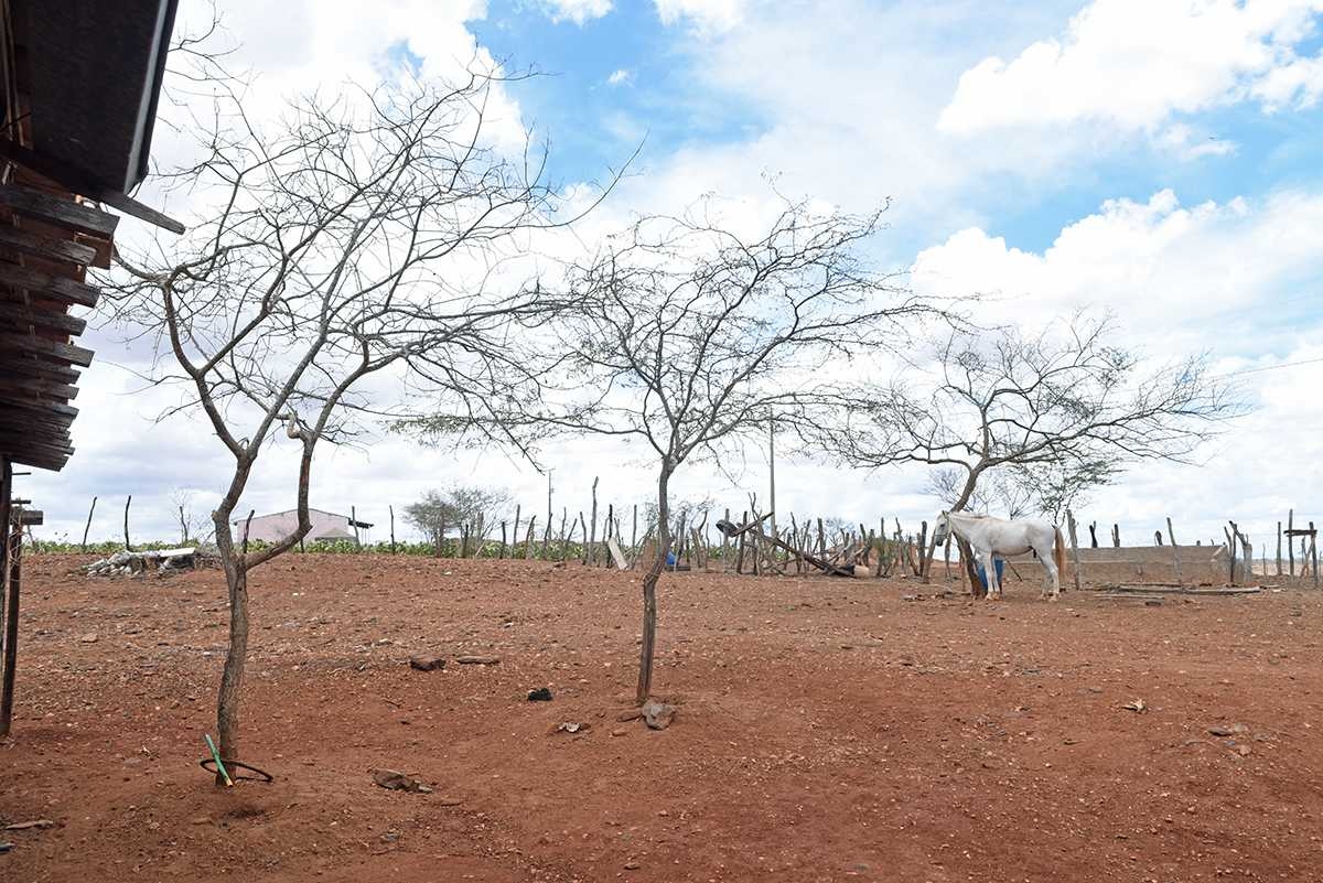 Ao todo, 31 municípios sergipanos já decretaram situação de emergência devido à seca e foram reconhecidos pelo governo federal (Foto: Marcelle Cristinne/ASN)