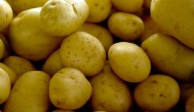 A batata-inglesa foi um dos produtos que mais
subiram  em  julho    (Foto: Arquivo/Agência  Brasil)
