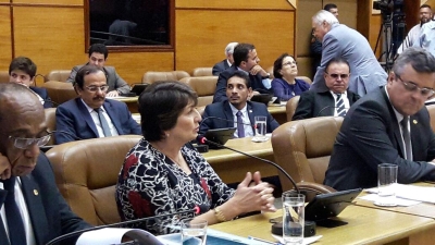 Deputada estadual Maria Mendonça (Foto: Assessoria Maria Mendonça)