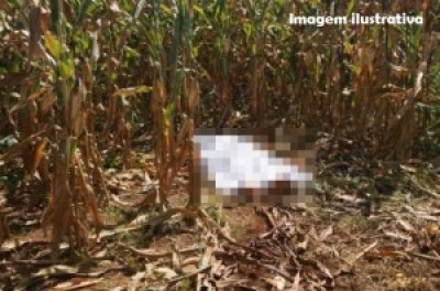 GL�?RIA: Homem é encontrado morto dentro de plantação (Foto Ilustrativa: Pingou Notícias)