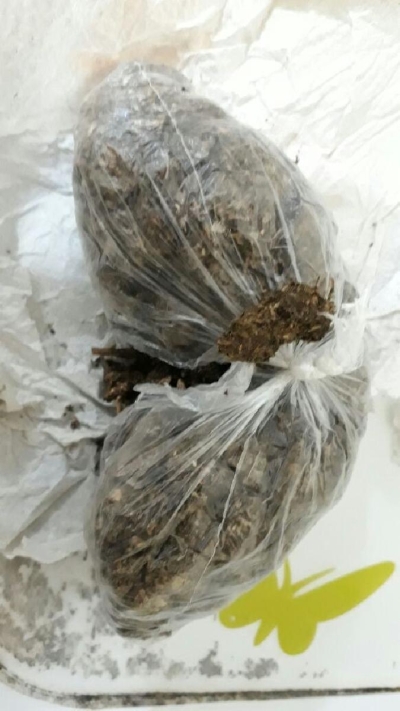  Mulher é presa quando tentava entrar com drogas na Cadeia de Areia Branca (Foto: SEJUC)