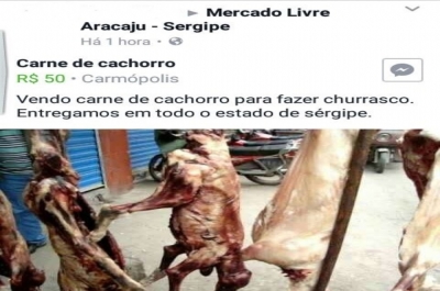 Anúncio ganhou repercussão nas redes sociais e virou caso de polícia (Foto: Ascom/Kitty Lima) Anúncio ganhou repercussão nas redes sociais e virou caso de polícia (Foto: Ascom/Kitty Lima)