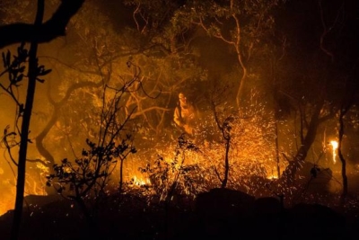 Incêndio que assola a Chapada dos Veadeiros desde o dia 17 de outubro foi criminoso (Foto: FernandoTatagiba/ICMBio)
