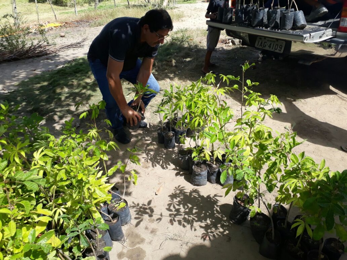 Semarh/Sergipe faz entrega de mudas para associação de produção orgânica em Areia Branca (Foto: Semarh/SE)