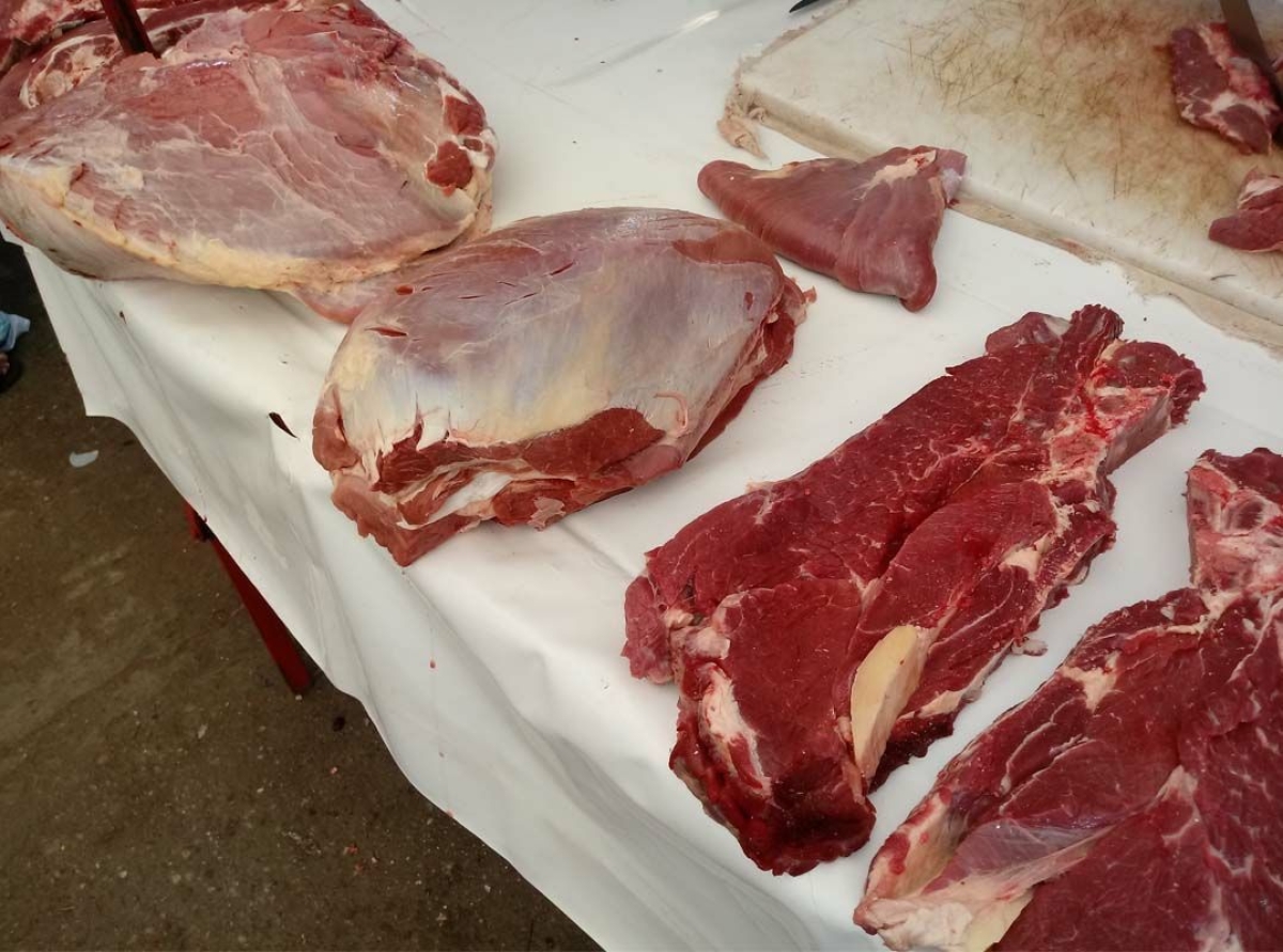 Médico infectologista alerta para os perigos do consumo de carne sem fiscalização (Foto: André Carvalho)