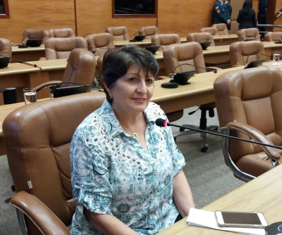 Deputada estadual Maria Mendonça (Foto: Assessoria Maria Mendonça)