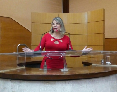 Deputada estadual Silvia Fontes (Foto: Assessoria Silvia Fontes)