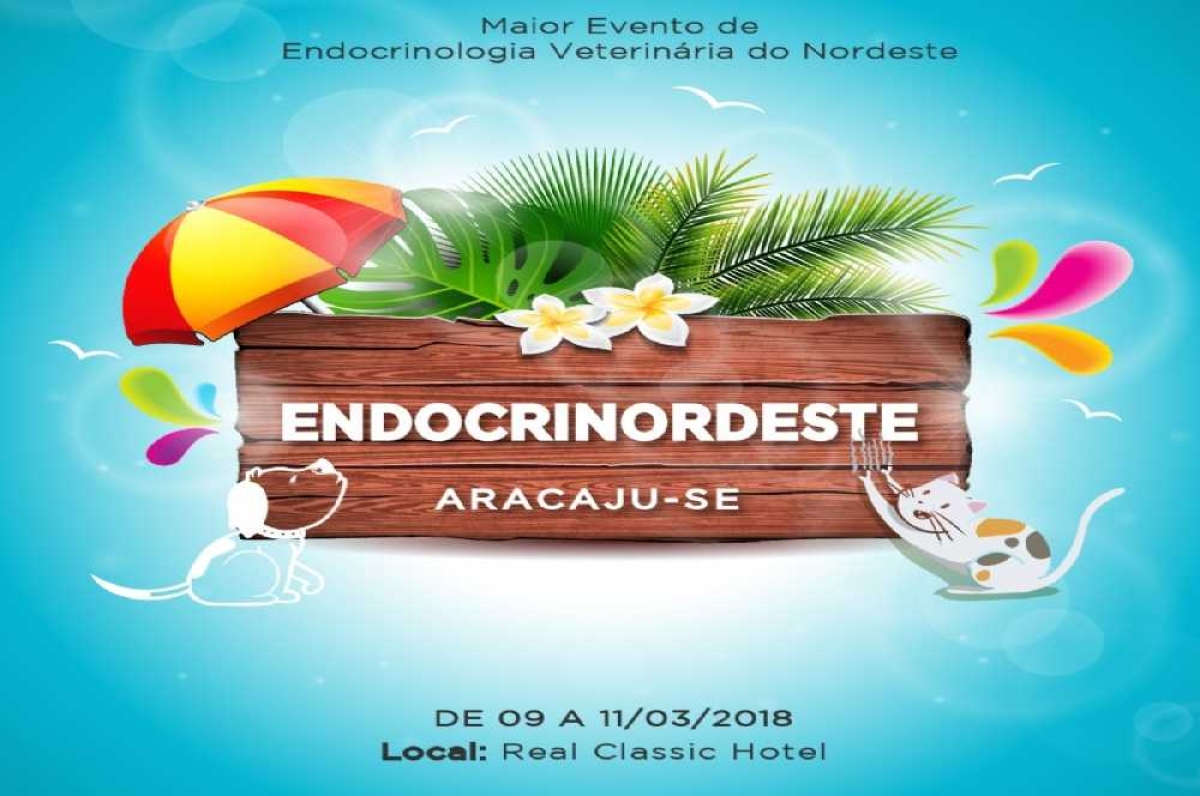 Evento inicia hoje e vai até a manhã do domingo (Imagem: Divulgação)