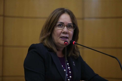 Deputada estadual Goretti Reis (Foto: Assessoria Goretti Reis)