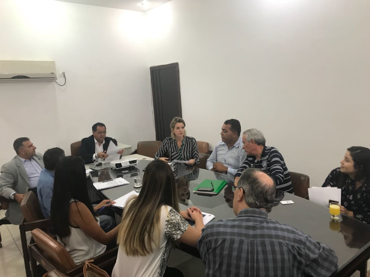 Agrese conclui ato de assinatura de termo de autorização para consórcio BR-235 (Foto: Agrese)