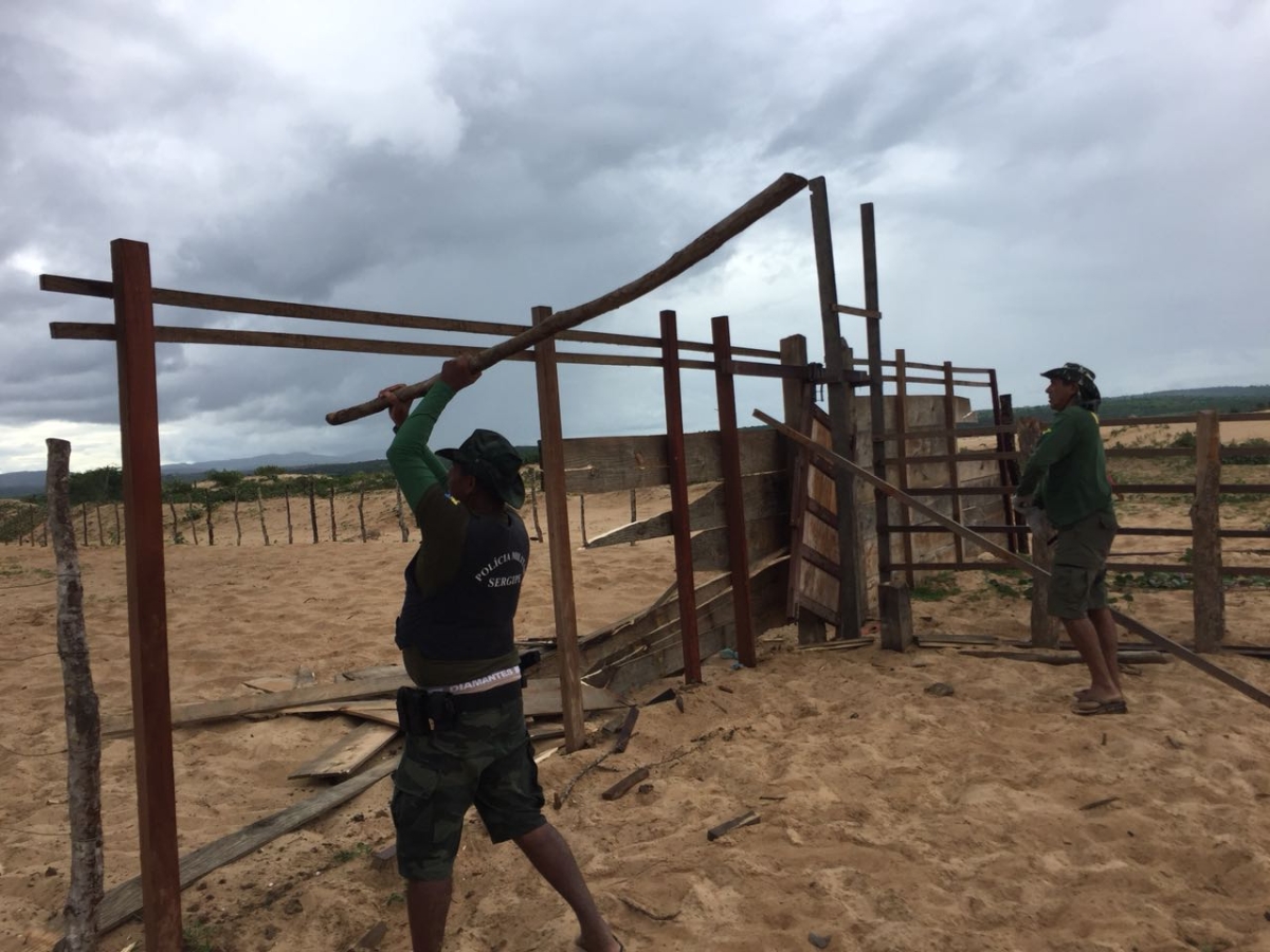 FPI/Sergipe encontra pista de vaquejada em Área de Preservação Permanente no município de Gararu (Foto: Assessoria FPI/SE)