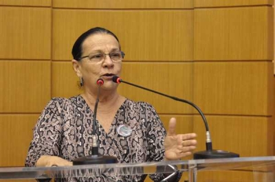 Ana Lúcia propõe realização de concurso público para Adema (Foto: Jadilson Simões/ Agência Alese)