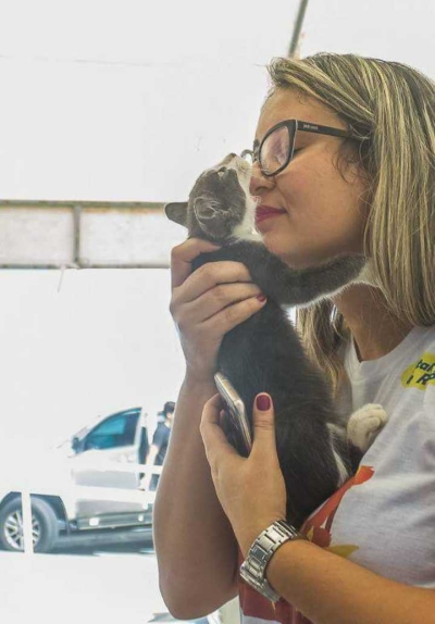 Situação da colônia de gatos na UFS é preocupante, alerta Kitty Lima (Foto: Assessoria Kitty Lima)