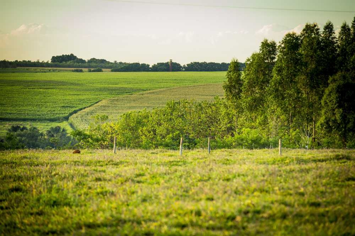 Produtor rural já pode entregar declaração do Imposto Territorial Rural (Foto: Senar/SE)