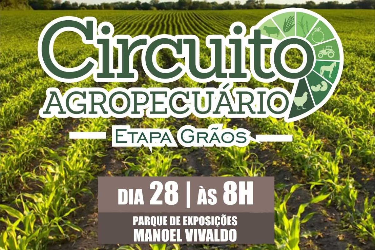 Etapa Grãos do Circuito Agropecuário acontece nesta sexta-feira, 28/9 
(Imagem: Divulgação)