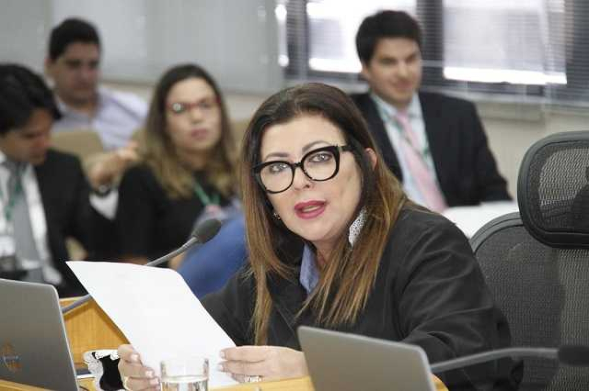 Conselheira do TCE/Sergipe reunirá gestores de 14 municípios para aprimorar práticas de governança (Foto: TCE/SE)