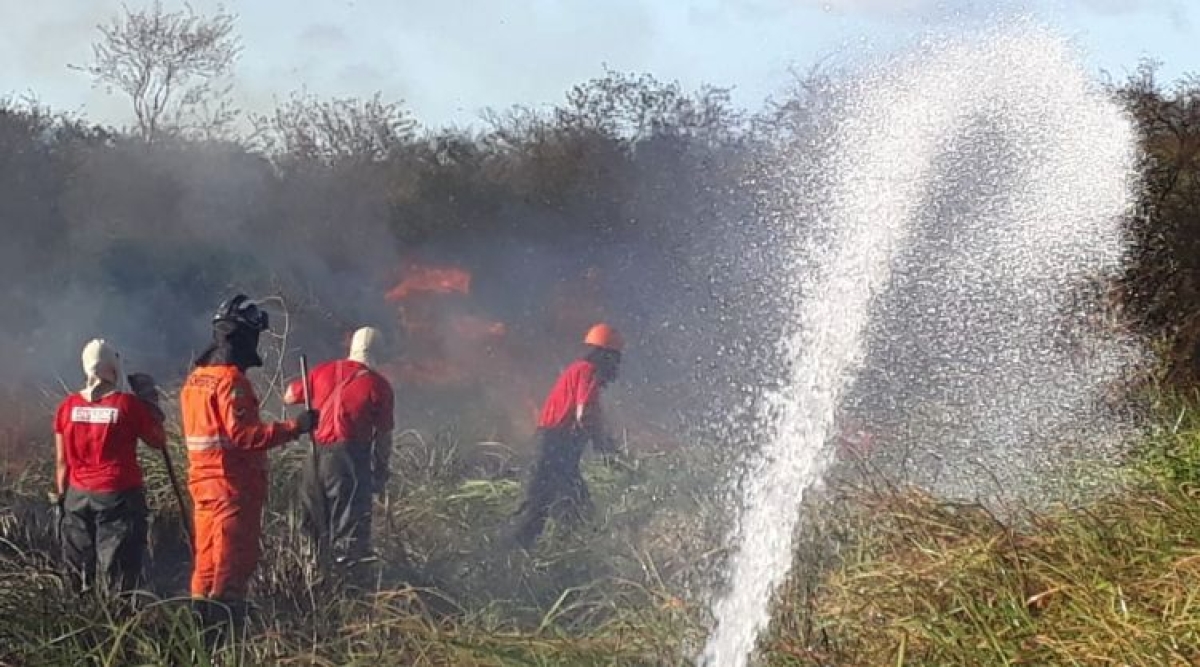 Número de incêndios em vegetação em 2018 cresce cerca de 25% em relação ao ano passado (Foto: SSP/SE)