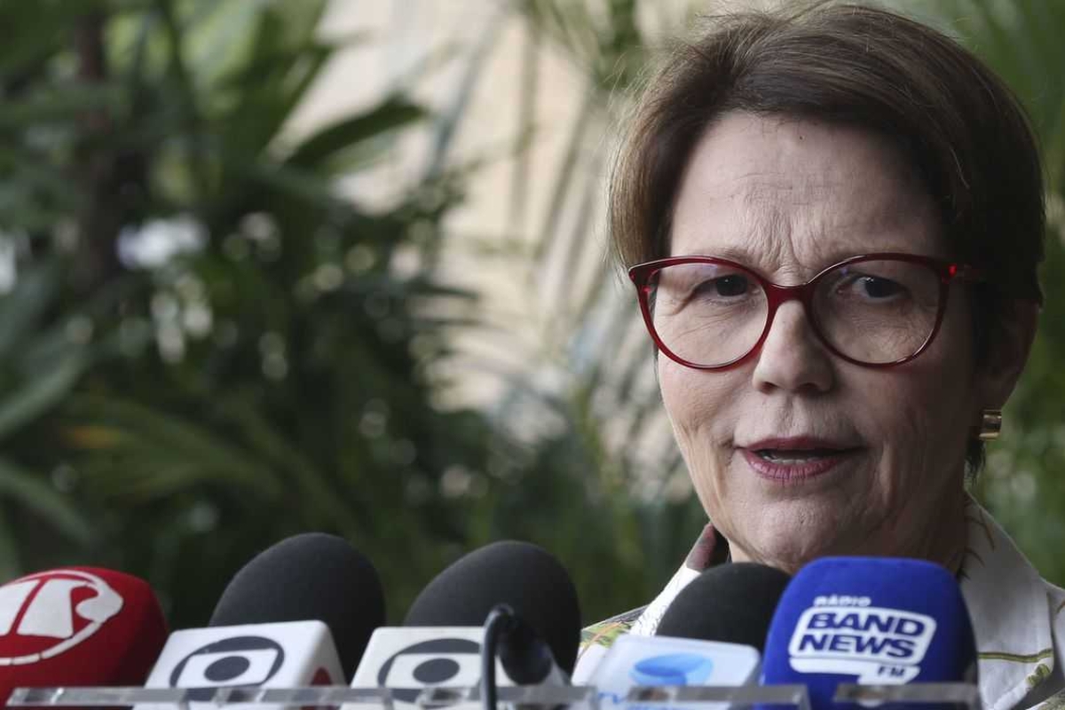 Deputada federal Tereza Cristina (Foto: Antonio Cruz/ Agência Brasil)
