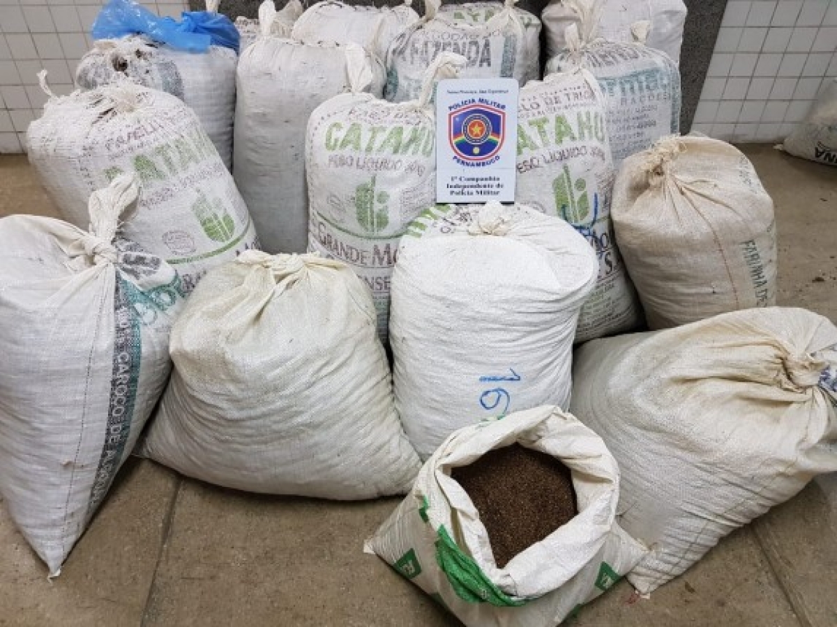 Sergipano é preso em flagrante no estado de Pernambuco com grande quantidade de maconha (Foto: PM/SE)