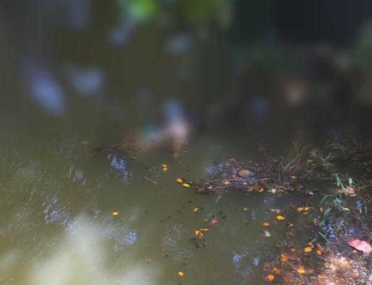 Homem morre afogado no povoado Colônia 13 (Foto: Via Lagarto Como Eu Vejo)