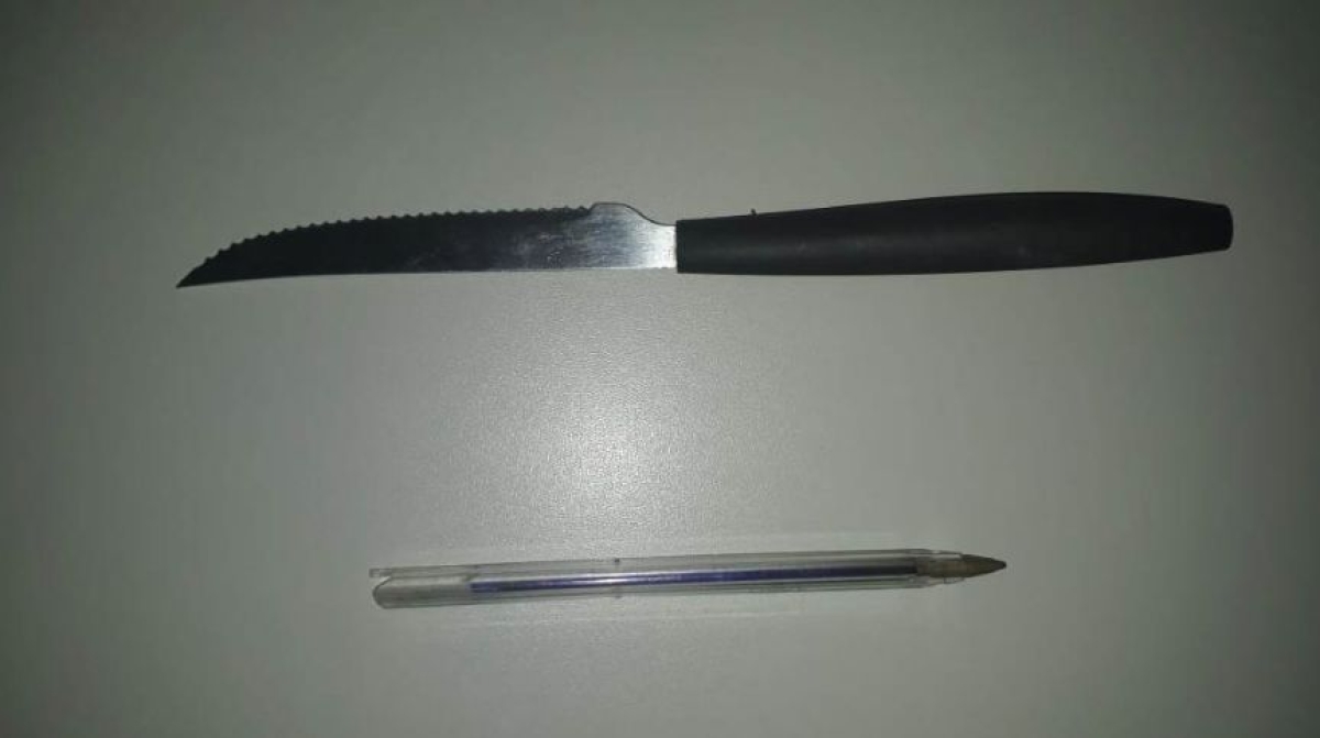 Polícia Civil prende mulher após tentativa de homicídio contra o companheiro em Canindé (Foto: SSP/SE)