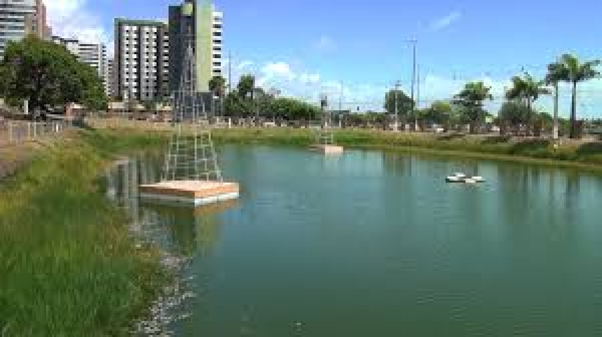 Centenas de peixes voltam a aparecer mortos no Parque da Sementeira (Imagem: Reprodução de vídeo/ YouTube/ Portal Infonet)
