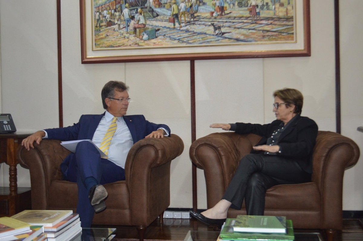 Laércio Oliveira debate com ministra da Agricultura medidas em defesa de pequenos e médios produtores de leite (Foto: Assessoria Laércio Oliveira)
