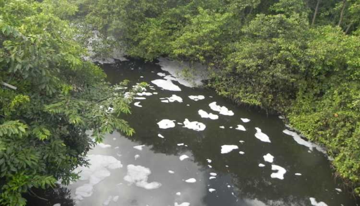 Deso apontou que espuma no Rio Poxim é oriunda de efluentes industriais (Foto: Divulgação)