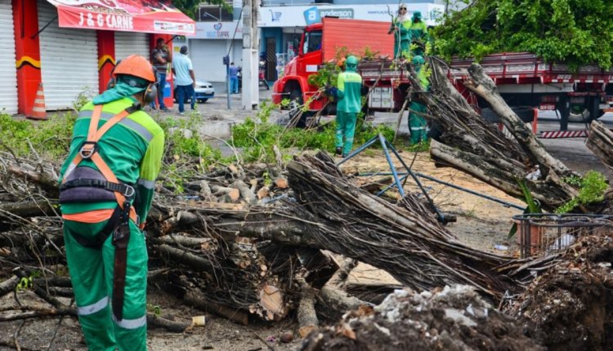 Defesa Civil também recolhe as árvores que caíram na cidade (Foto: Felipe Goettenauer/ Secom PMA)
