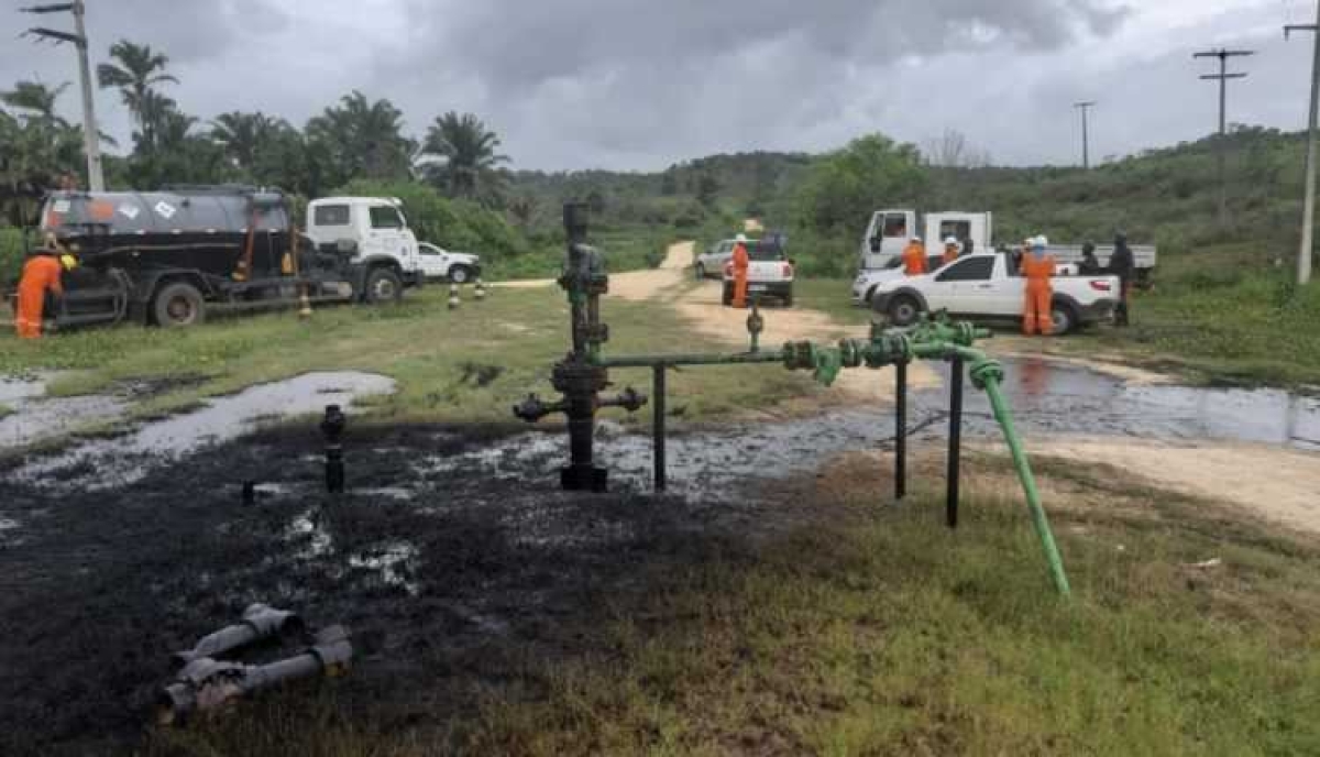 �?leo da Petrobras se expande em campo em função do vazamento (Foto: Adema)