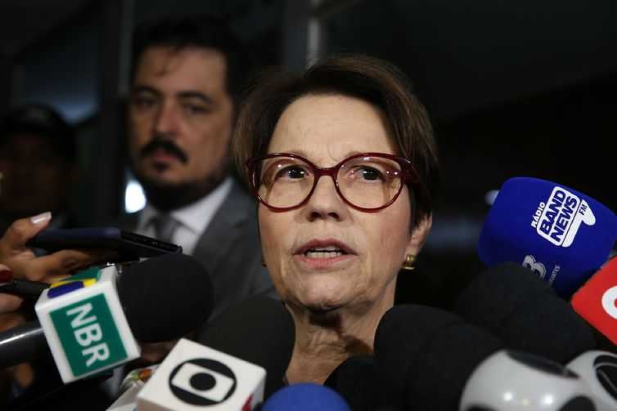 A ministra da Agricultura, Pecuária e Abastecimento,Tereza Cristina, quer ampliar mercado com os países árabes (Foto: Antonio Cruz/ Agência Brasil)
