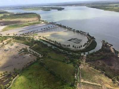 Prática da carcinicultura às margens do rio São Francisco (Foto: MPF/SE)