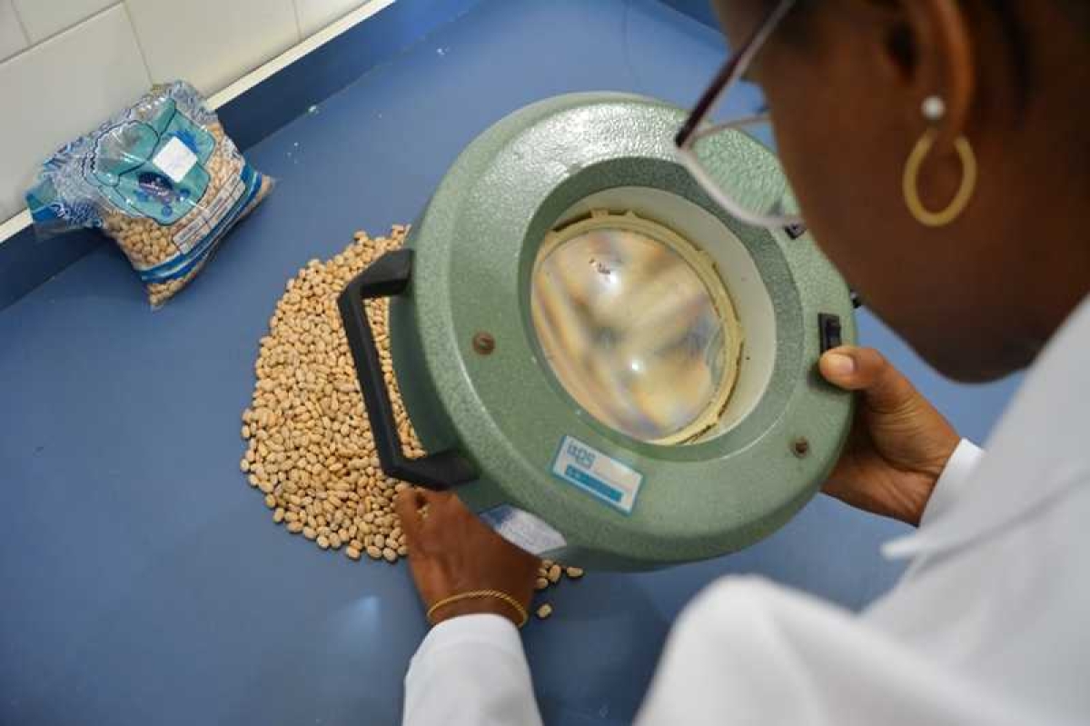 Análise realizada no Instituto Tecnológico aponta qualidade dos alimentos (Foto: ITPS/SE)