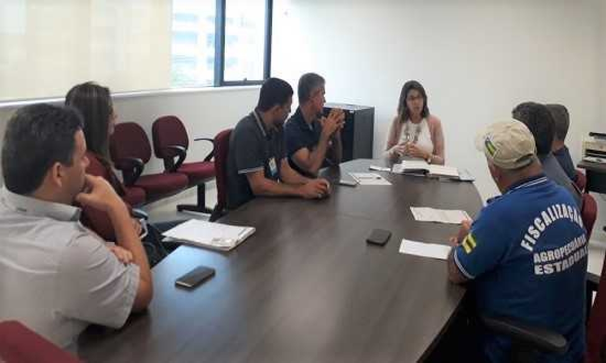 Uma nova audiência será marcada para ajustar a venda de frango na capital (Foto: Portal Infonet)