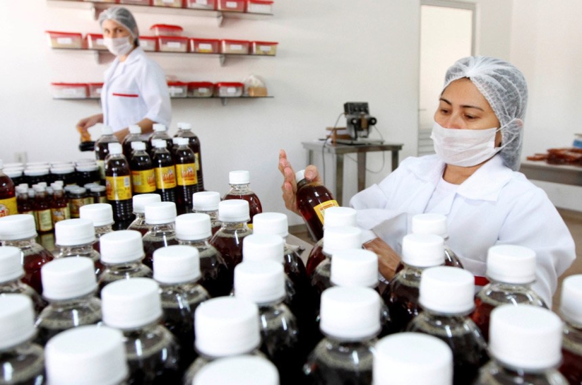 Microempresa inadimplente poderá voltar ao Simples (Foto: Carlos Sodré/ Arquivo Agência Pará)