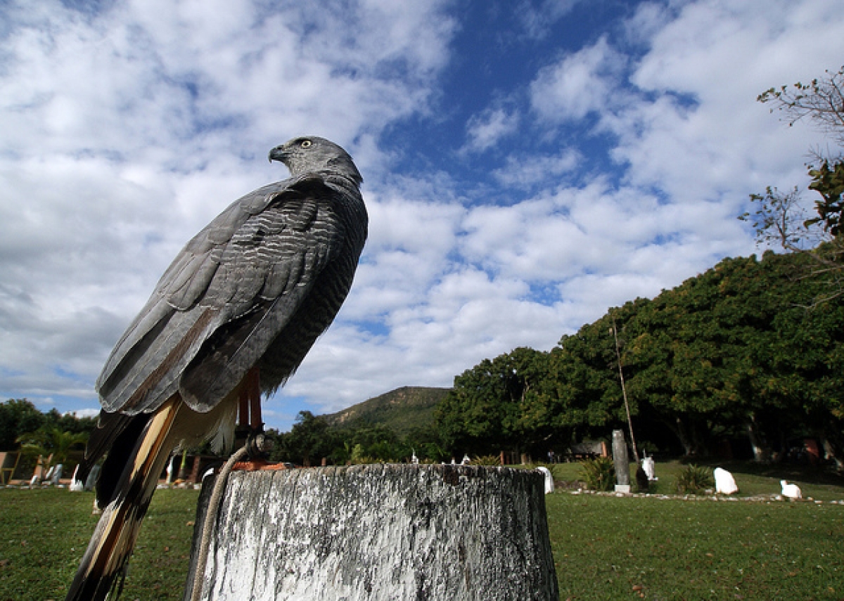 Poções da Ribeira e Parque dos Falcões podem se tornar Patrimônio Cultural (Foto: Divulgação/ Destaque Notícias)
