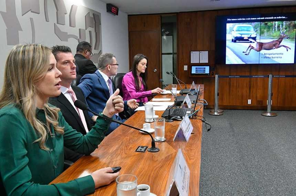 Fabiano Contarato (3º à esq.) conduz audiência na CMA com Fernanda Abra (E), Luis Gustavo Patuzzi Bortoncello e Monique Mosca Gonçalves (D) (Foto: Geraldo Magela/ Agência Senado)