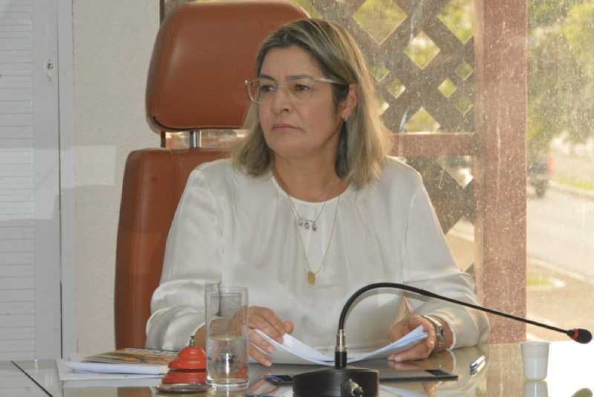 Deputada estadual Janier Mota (Foto: Jadilson Simões/ Rede Alese)