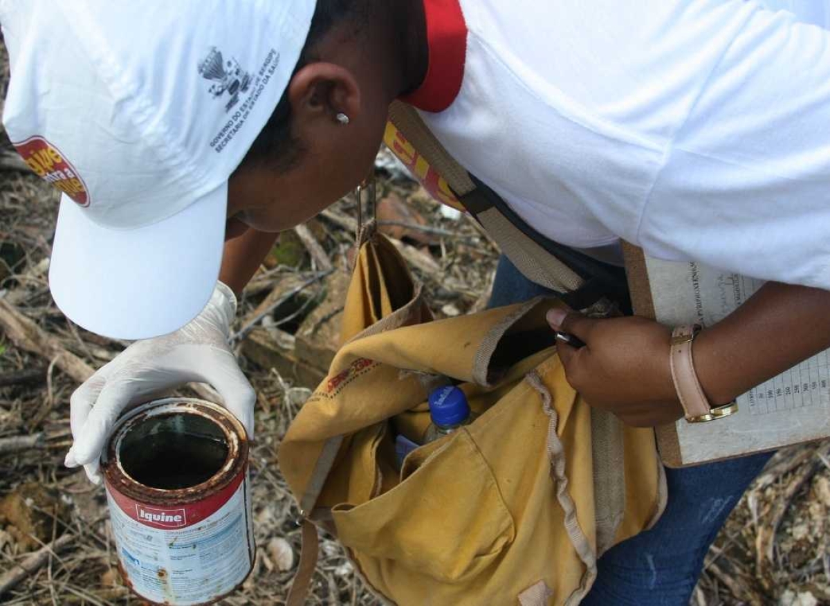 Secretaria de Estado da Saúde chama a atenção para o aumento dos casos de Dengue em Sergipe (Foto de arquivo: SES/SE)
