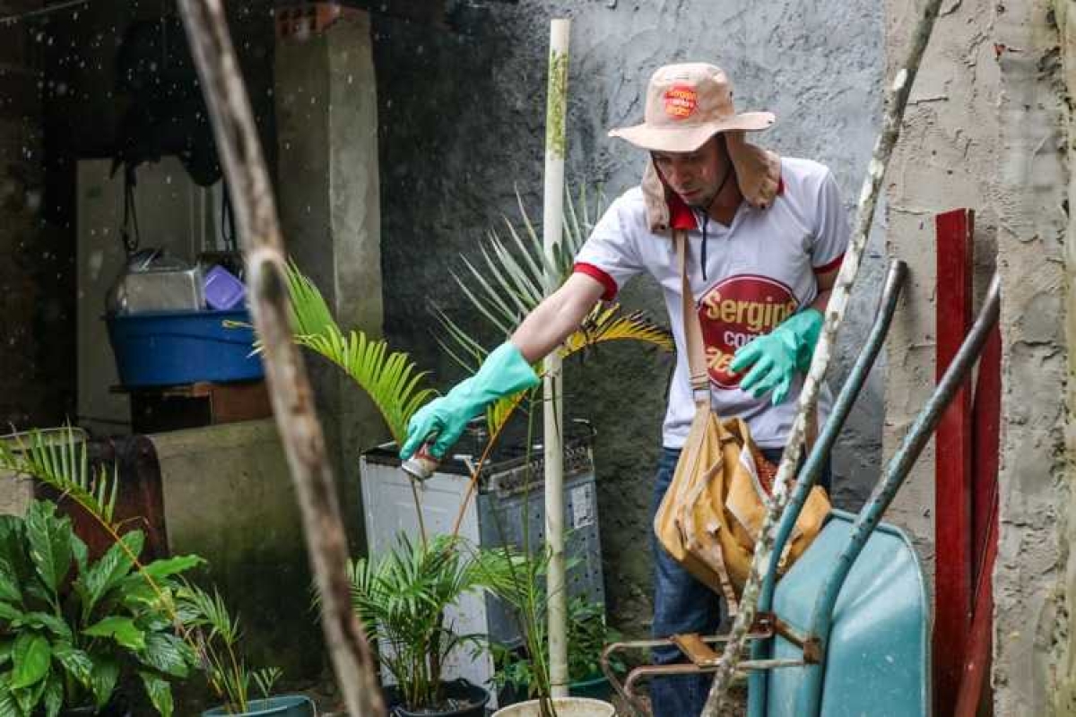 Saúde de Sergipe divulga quarto Levantamento do Índice de Infestação do Aedes Aegypti (Foto: SES/SE)