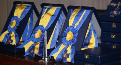 Medalha do Mérito Eleitoral (Foto: TRE/SE)
