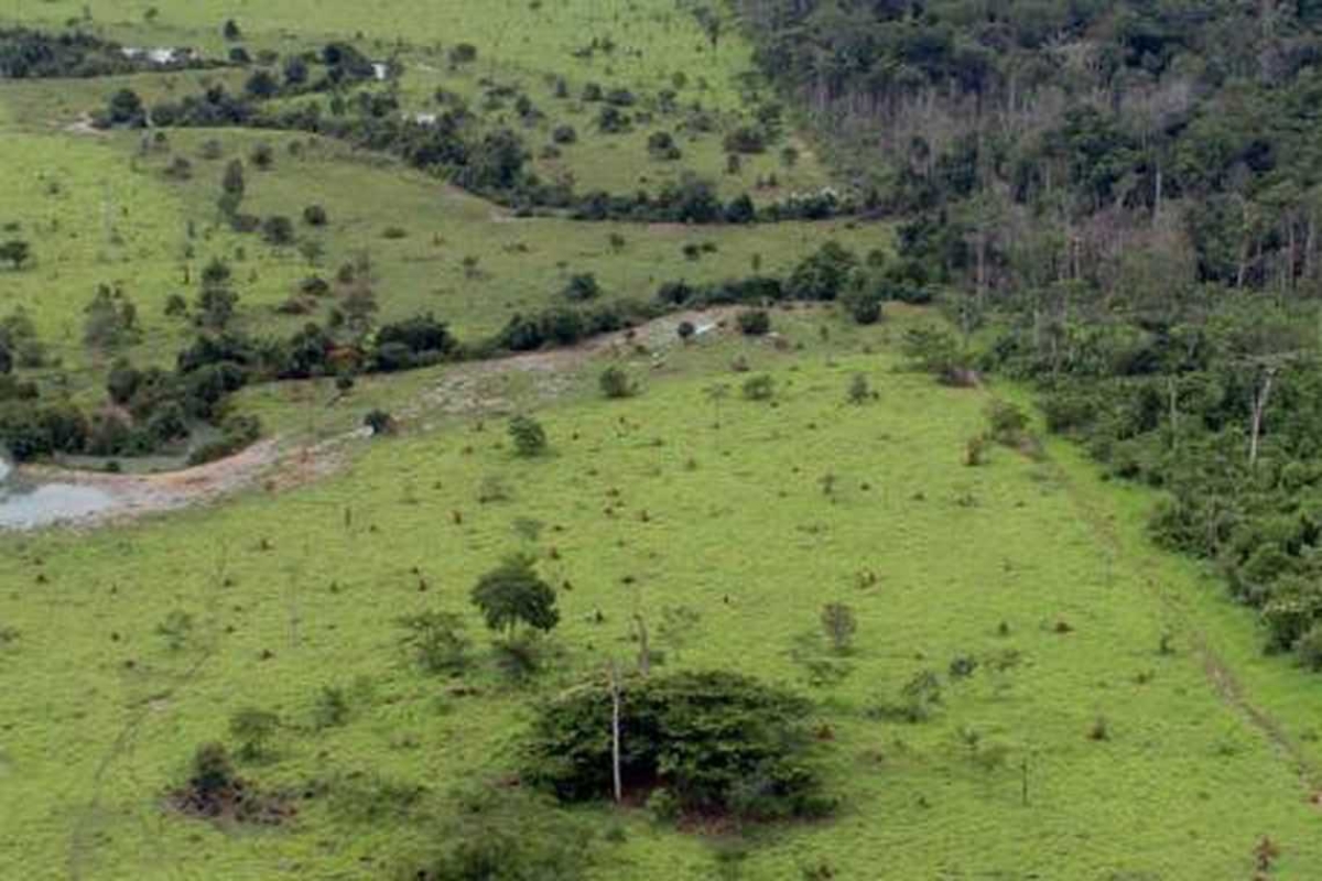 Começa nesta segunda, 12/8, prazo para entrega da declaração de propriedade rural (Foto: de arquivo: MMA)