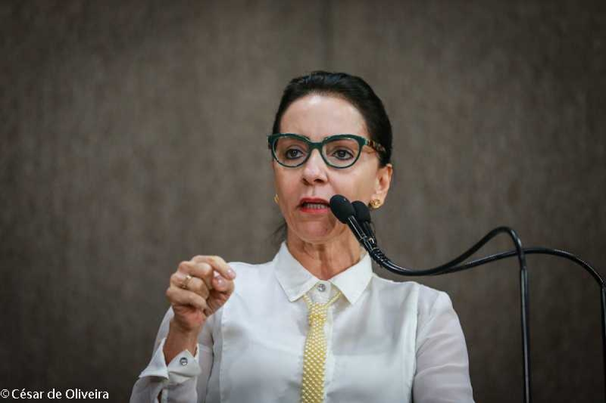 "OAB deve abandonar a política partidária e defender os advogados e o Brasil", diz Emília Corrêa (Foto: Assessoria Emília Corrêa)