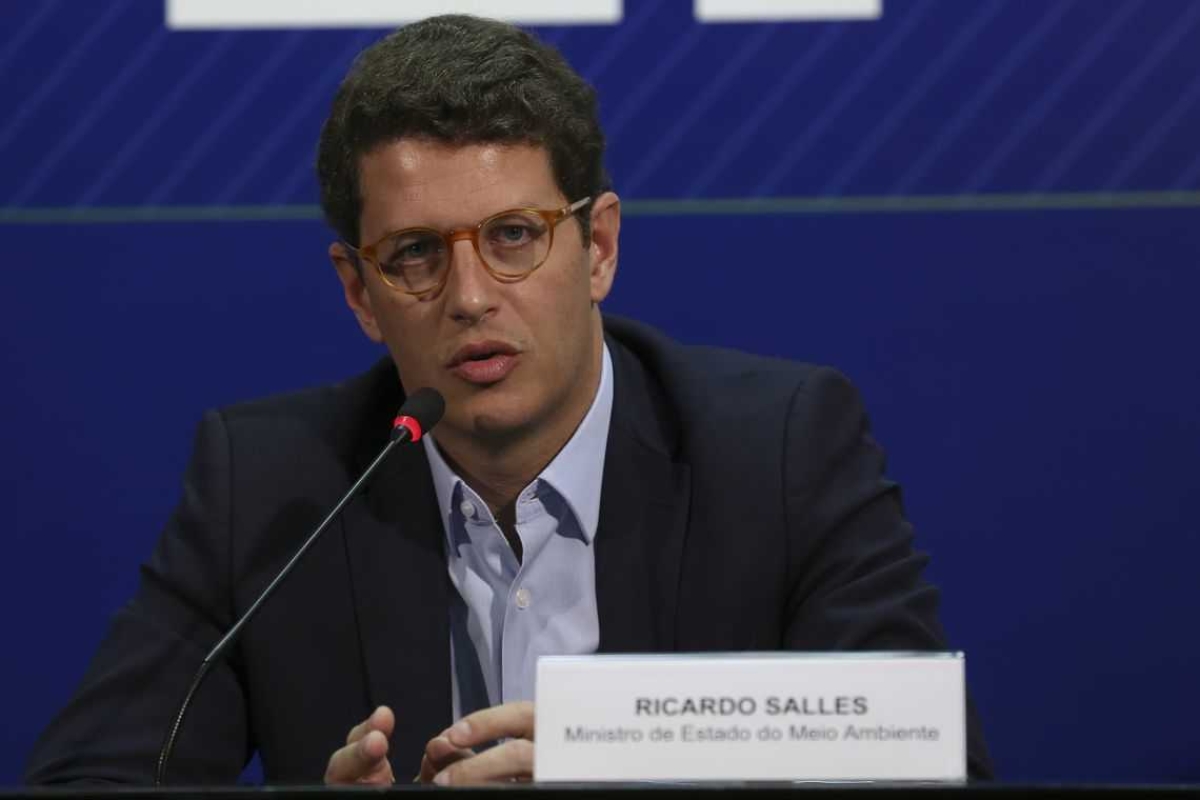 Ministro do Meio Ambiente, Ricardo Salles (Foto: Antonio Cruz/ Agência Brasil)