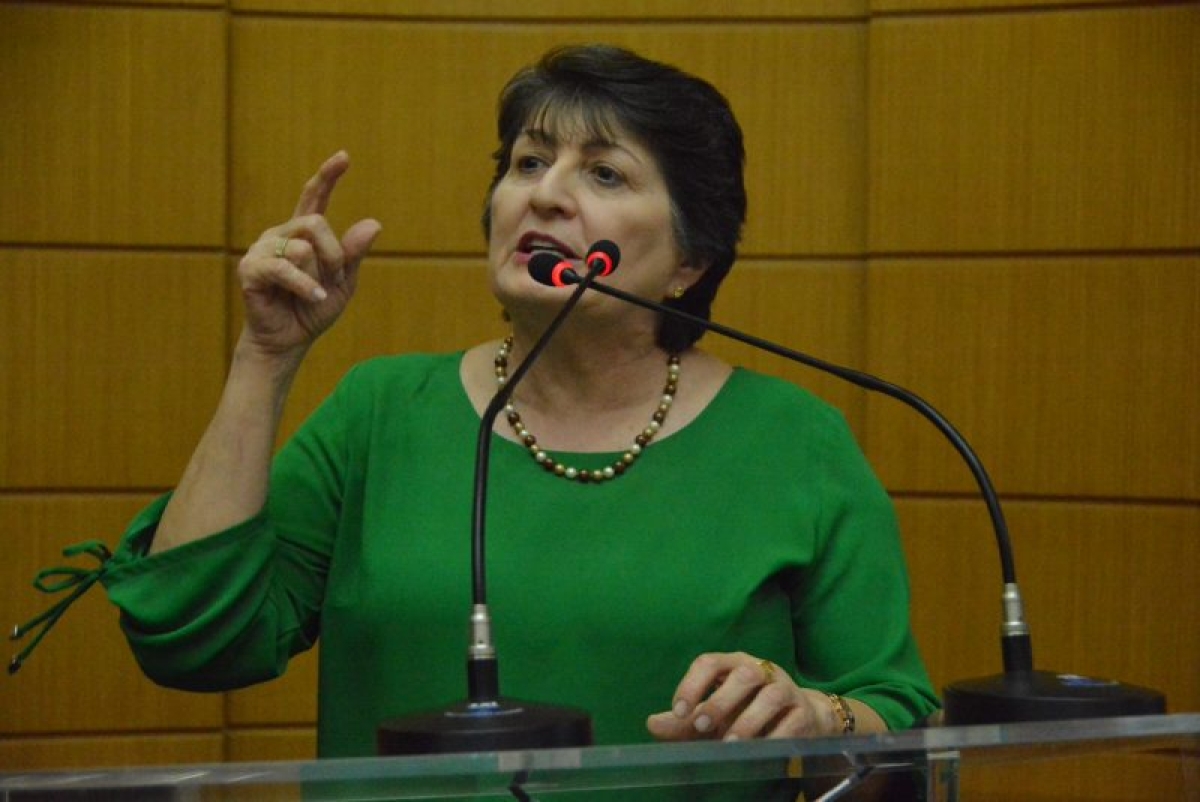 Deputada Maria Mendonça (Foto: Assessoria Maria Mendonça)