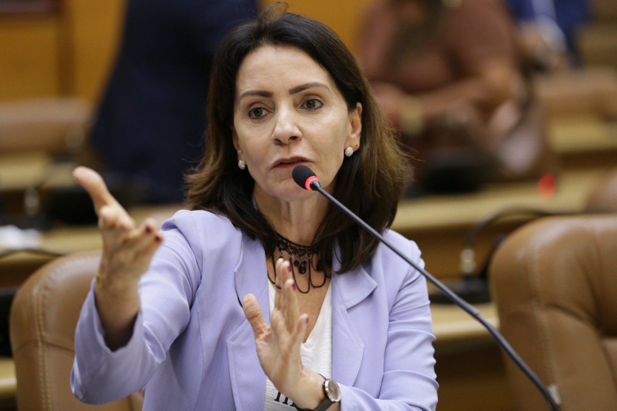 Covid-19: "Falta de transparência no número de leitos preocupa os sergipanos", afirma Emília (Foto: César de Oliveira/ CMA)