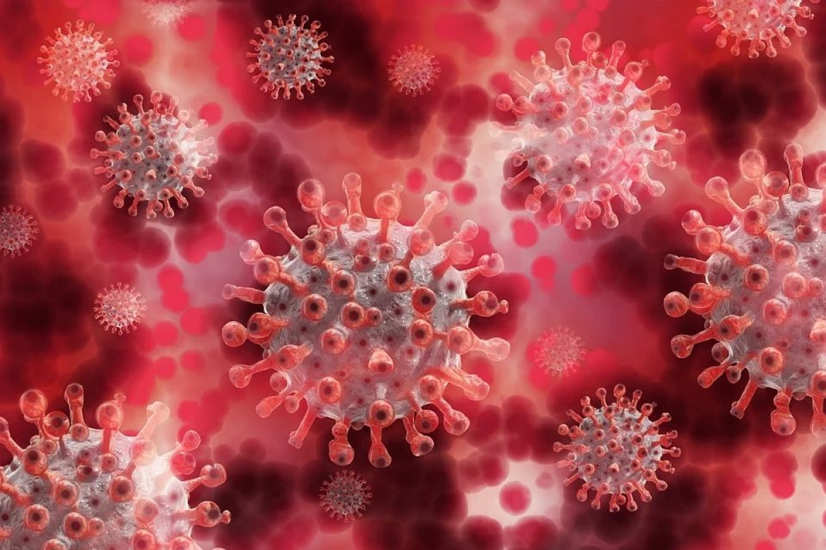 Apesar de sinais de estabilização, pandemia no Brasil ainda é grave (Foto ilustrativa: Pixabay)