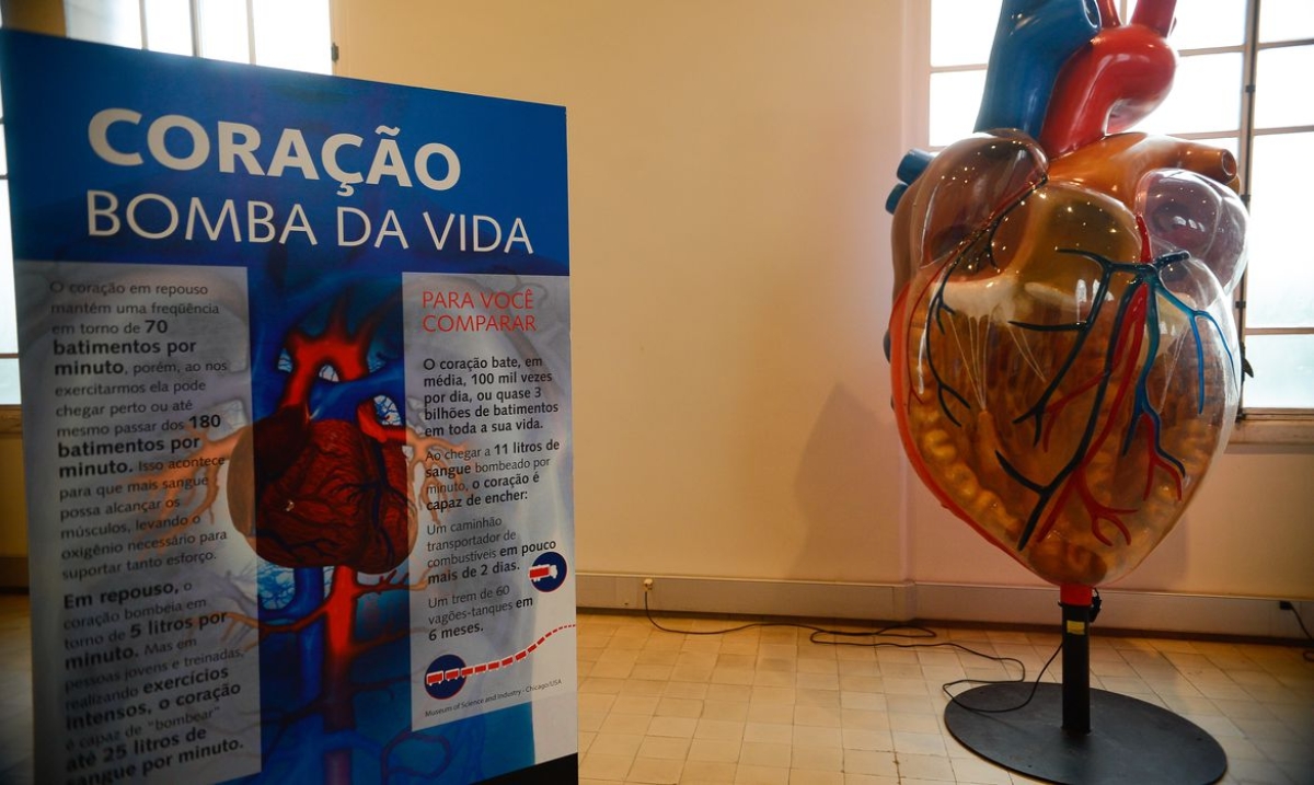 Cartórios registram aumento nas mortes por doenças cardiovasculares (Foto: Tomaz Silva/ Agência Brasil)