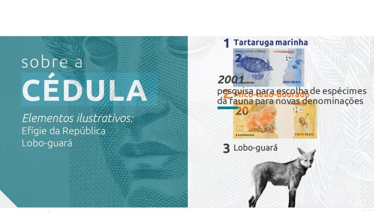 Cédula de R$ 200 entra em circulação nesta quarta-feira, 2/9 (Imagem: Divulgação/ Banco Central)