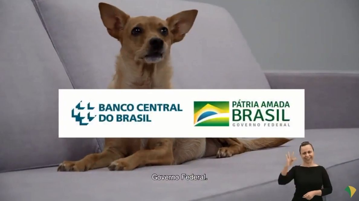 Vira-lata caramelo faz anúncio sobre nova cédula de R$ 200 (Imagem: Reprodução de vídeo/ YouTube/ Agência Brasil)